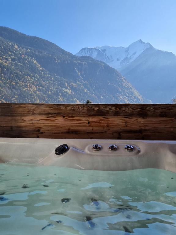 Suite Spa & Montagne - 4