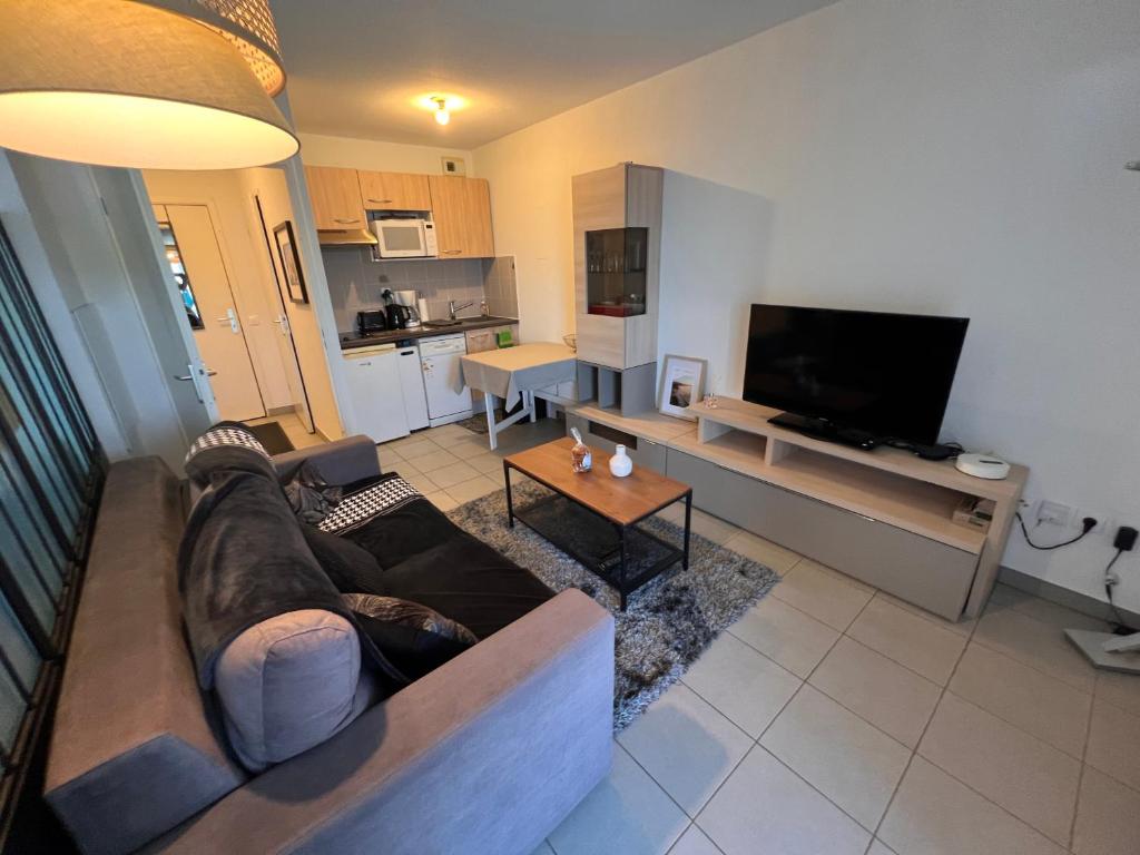Grand Studio, coin nuit séparé, terrasse et garage privatif - 2