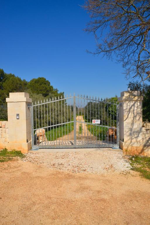 The trulli of Alessandro, in the heart of the Itria Valley - 5