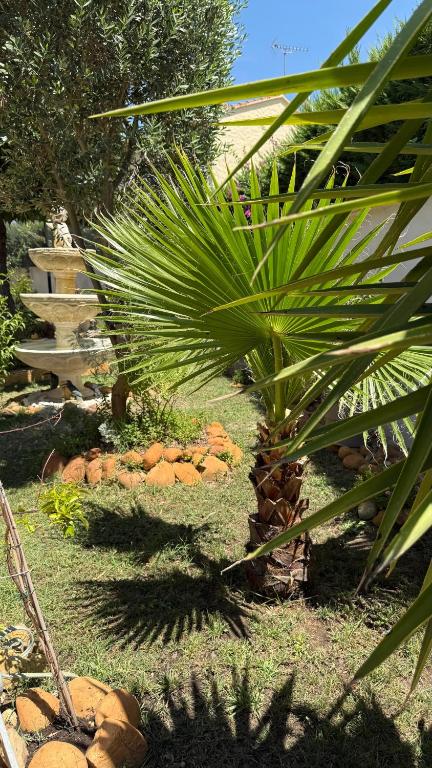 Superbe logement au rez-de chaussée avec jardin - 1