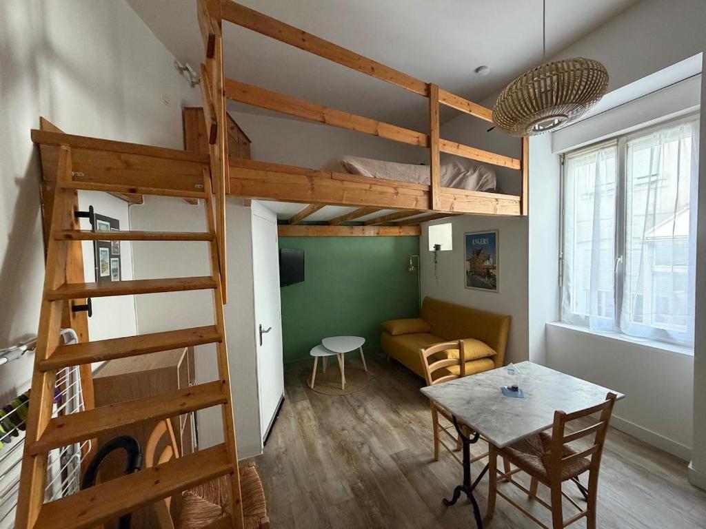 Le Roi Rene appartement cosy et confortable Angers centre entre gare et château - 1