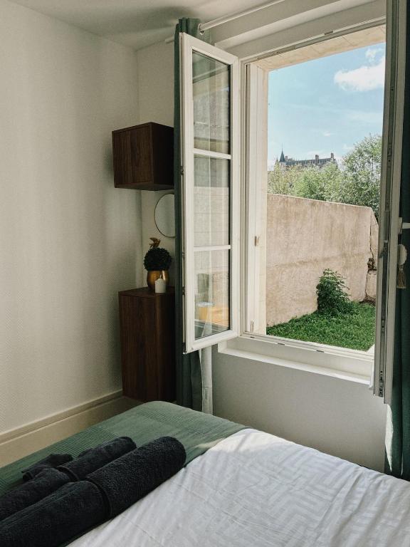 Vue Château ,Centre Ville , Loire, Maison Commire , climatisé - 1