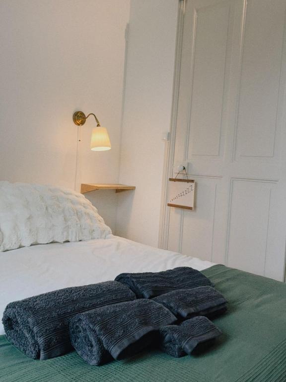Vue Château ,Centre Ville , Loire, Maison Commire , climatisé - 4