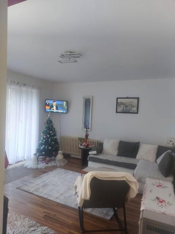 Apartman Živković - 2