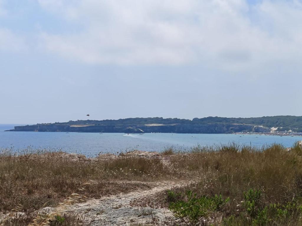 Casina Serafina - Torre dell'orso - 1