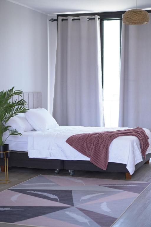 Modern and cozy apartment with a queen size bed - 1