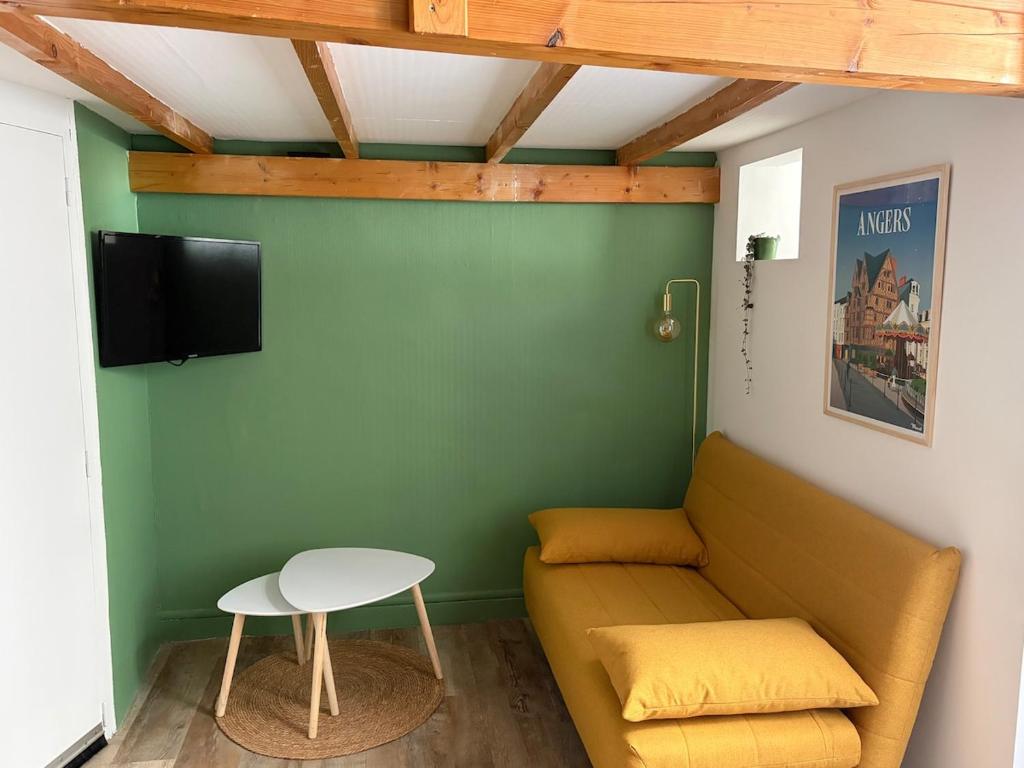 Le Roi Rene appartement cosy et confortable Angers centre entre gare et château - 3