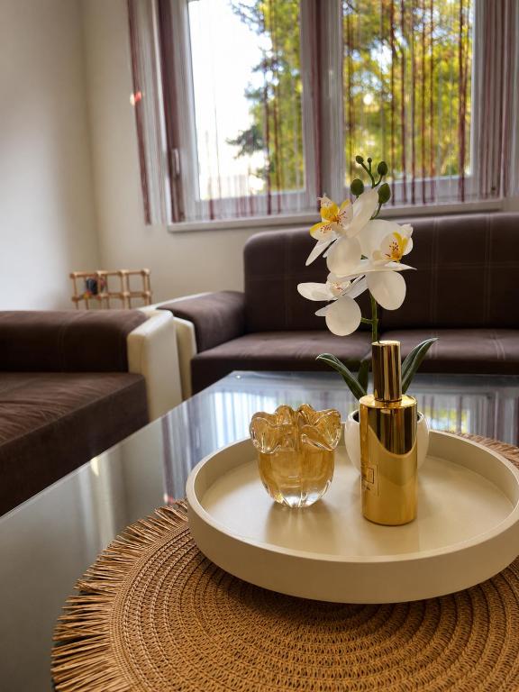Apartman Centar Agrokop - 5