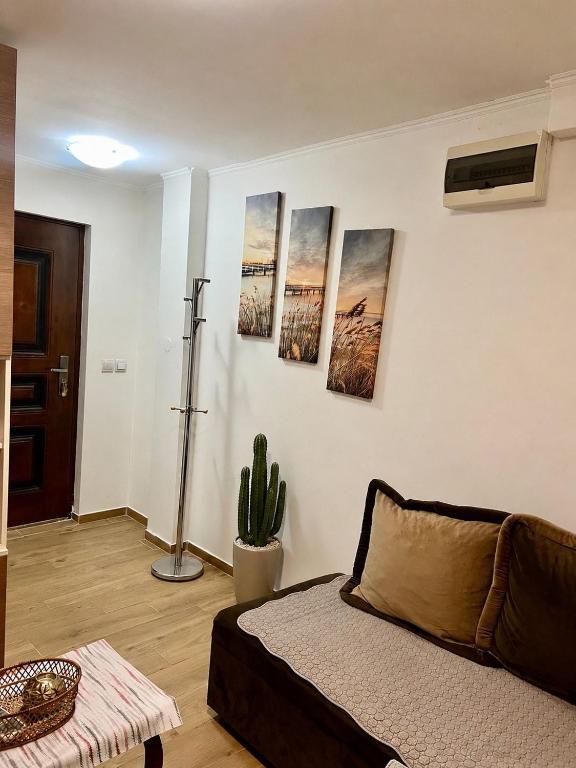 Nikola cozy apartment - 3