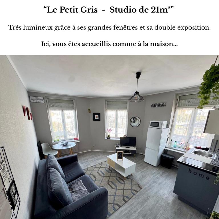 STUDIO Le Petit Gris - 2