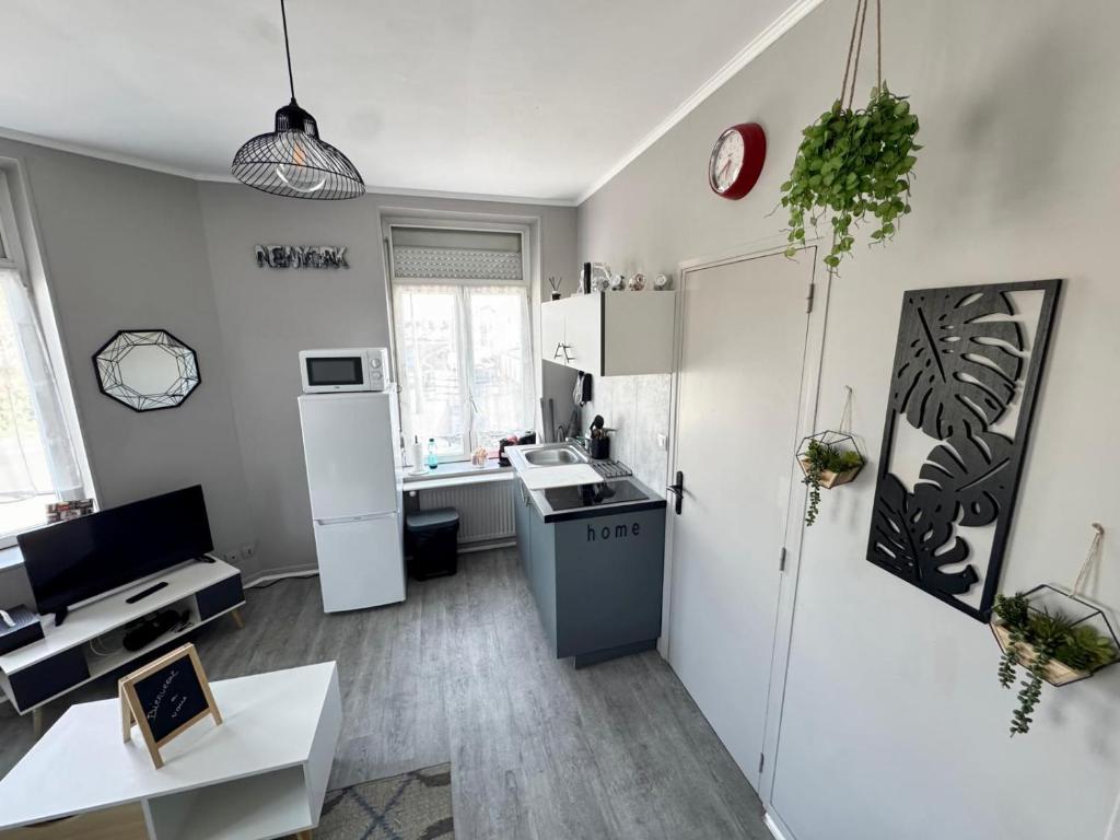 STUDIO Le Petit Gris - 4