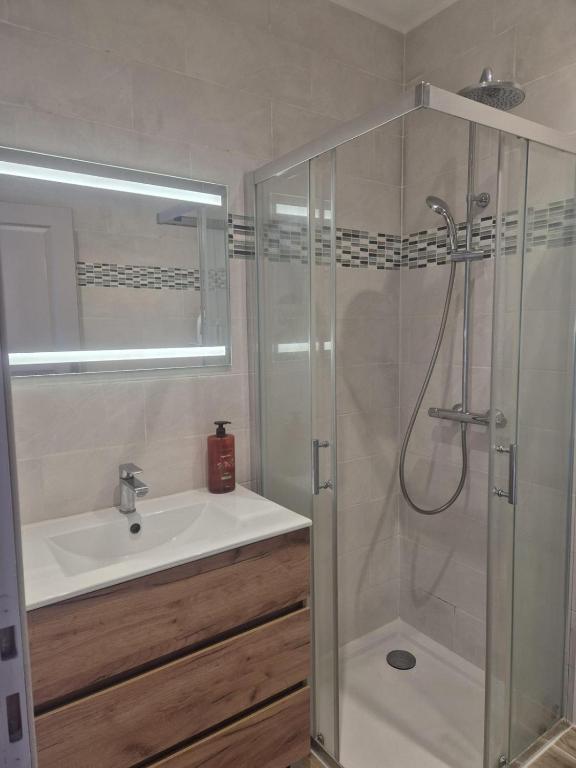 Appartement des Hirondelles - 4