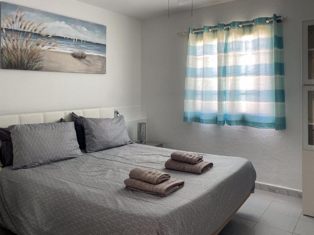 Casa Blue Wave - 4