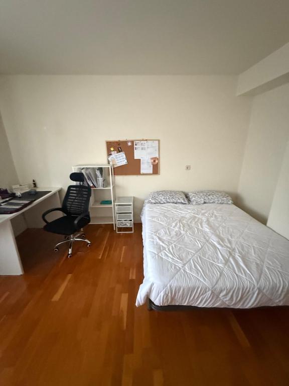 Living room with sofa bed only for San Fermín - 5