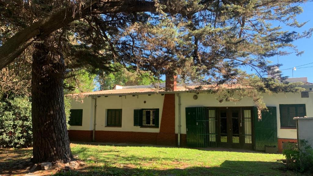 Menia - 4