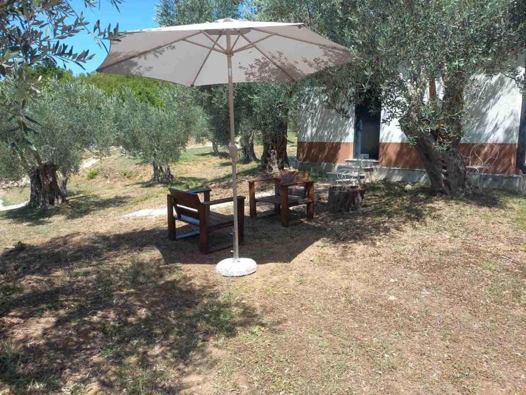 Olive Grove Serenity Retreat 2, Bungalow - 4