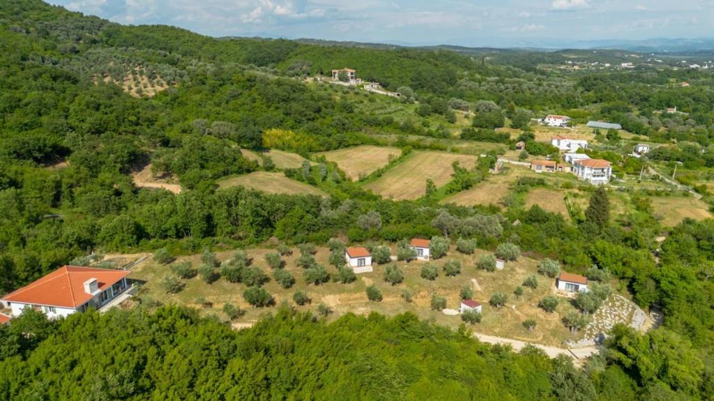 Olive Grove Serenity Retreat 2, Bungalow - 2