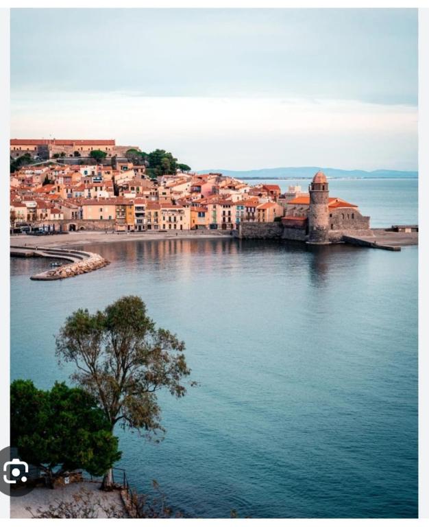 - Bellerive - Free bikes and garden 5 minutes from the sea - 5