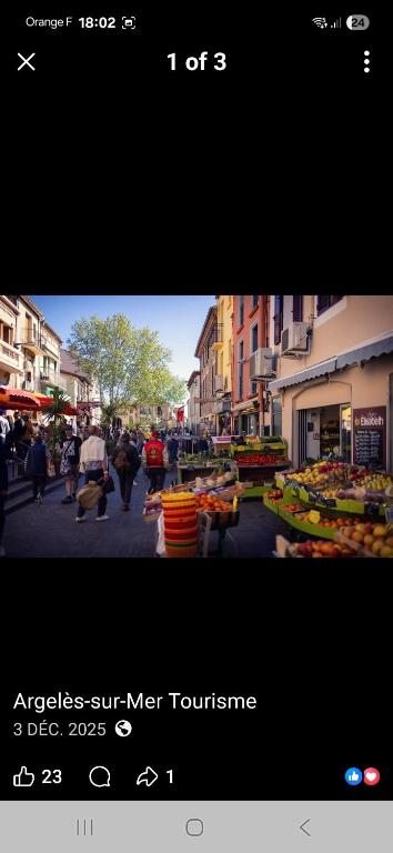 - Bellerive - Free bikes and garden 5 minutes from the sea - 2