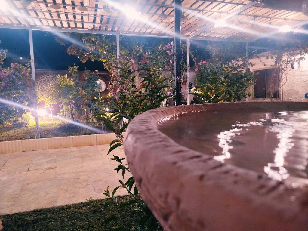 Superbe logement au rez-de chaussée avec jardin - 2