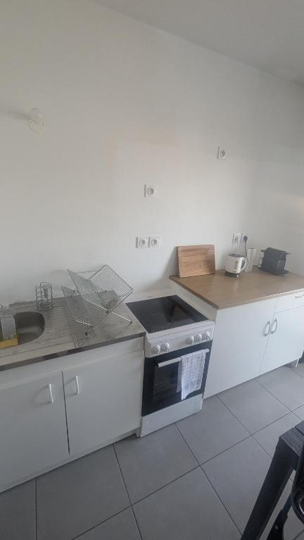 Bel Appartement Lumineux Lyon 7 - 5