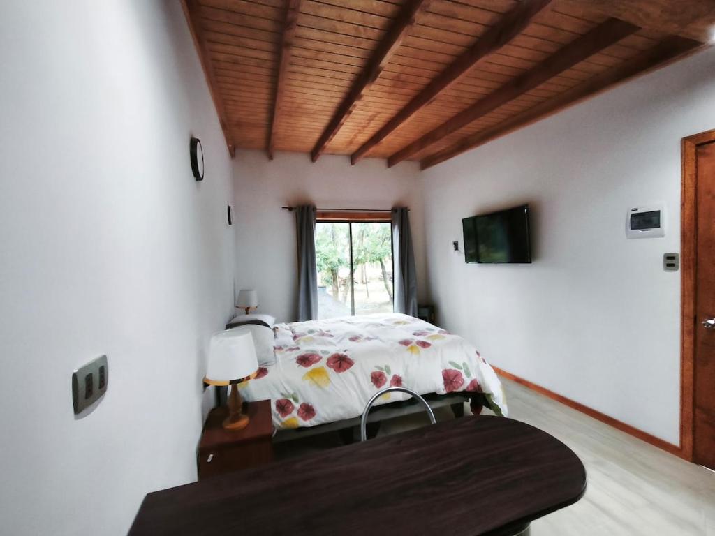 Hermosa cabaña Pucon Caburga 2 - 5