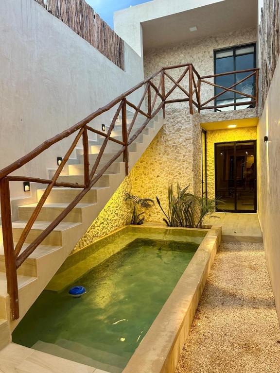 Casa Leva, tu casa en Mérida - 4