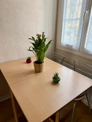 Studio climatisé avec mezzanine à 300 m de la plage - 4