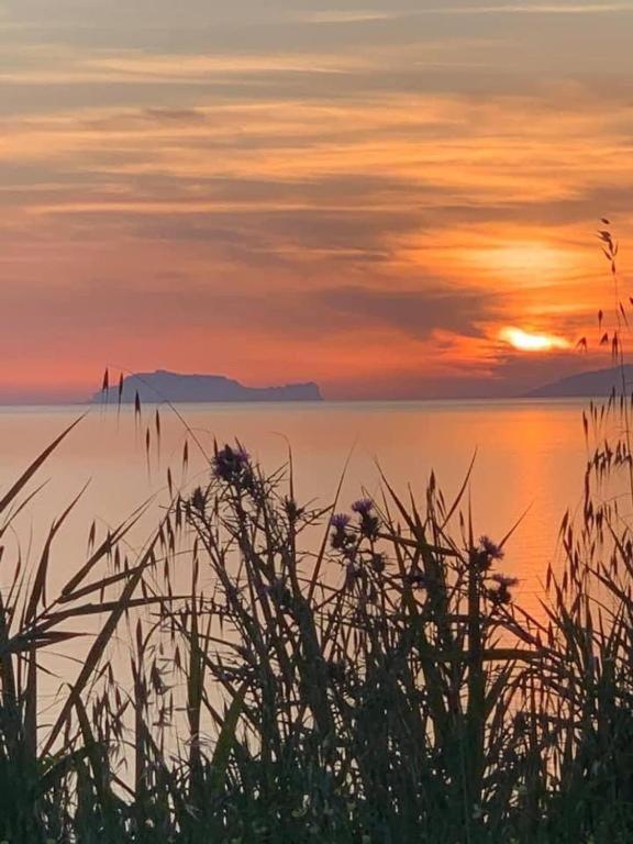 Love cilento vacanze cilentane - 5