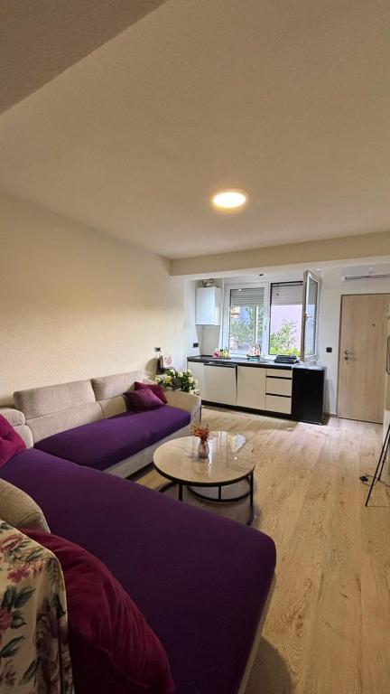 Viola Studio Apartman - 3
