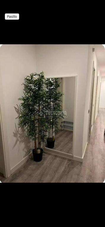 Apartment in the heart of Madrid 120 m - 3