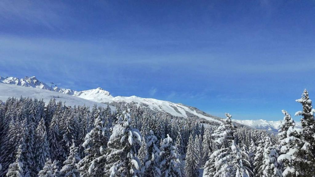 Luxury Penthouse Ski-in andout Panoramic View - 4