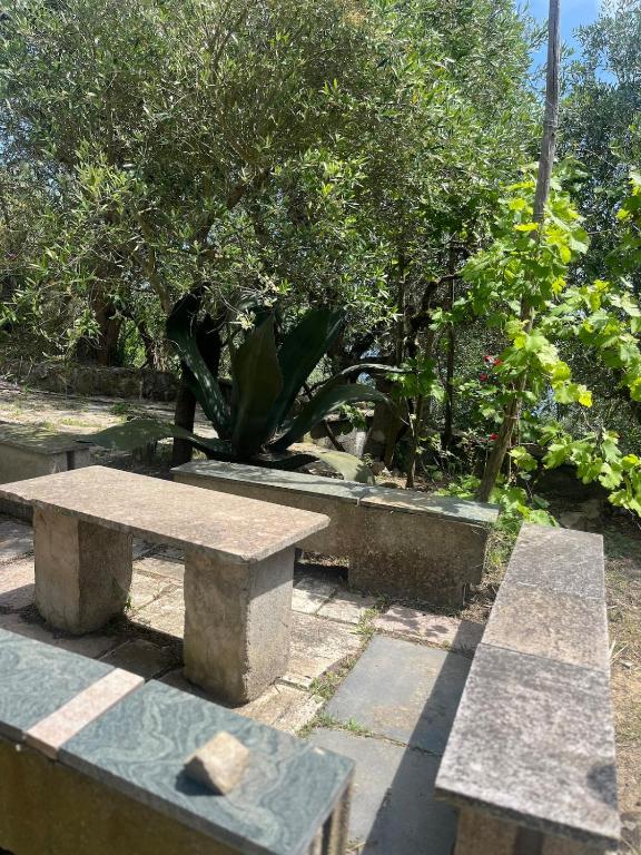 The Roses House, Fondo San Vito - 2