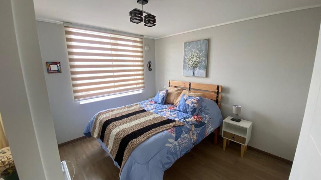 Departamento - Centro de Temuco - 4