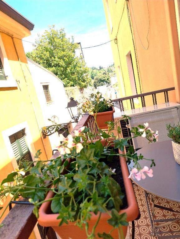 Barbara Apartment VERONA - 5