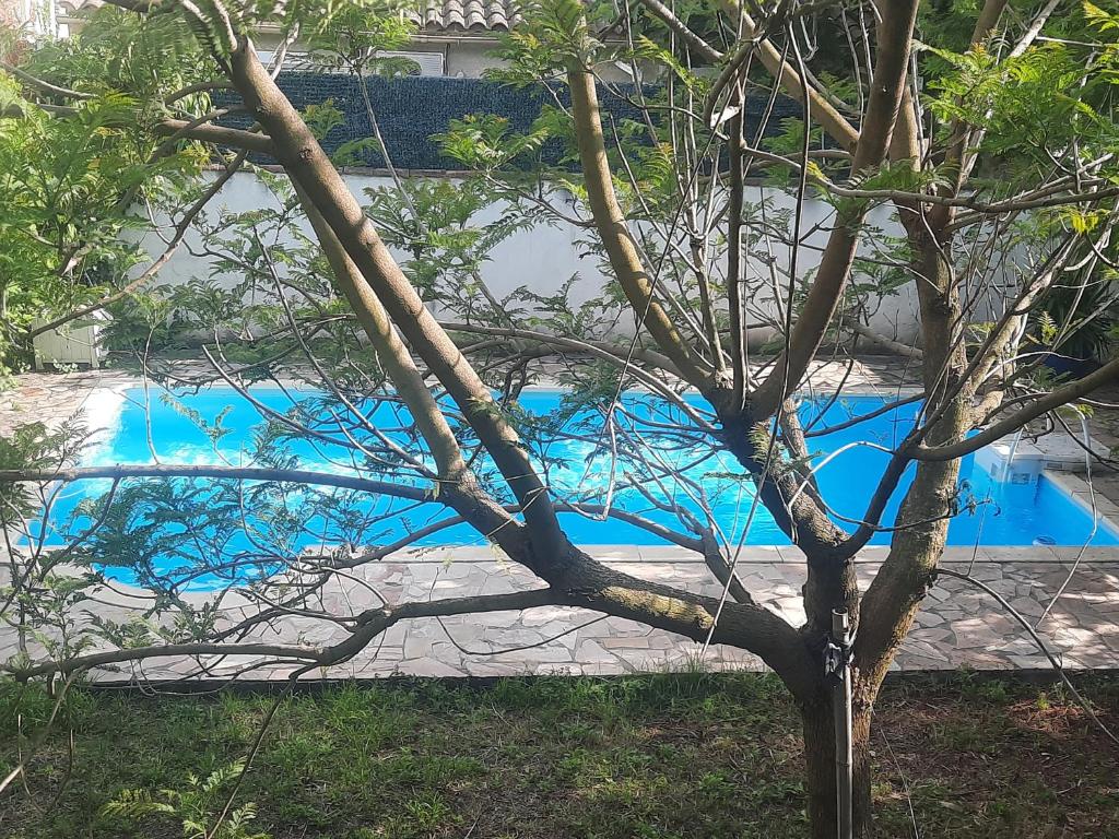 La maison blanche , piscine partagée 5min d'Avignon - 3
