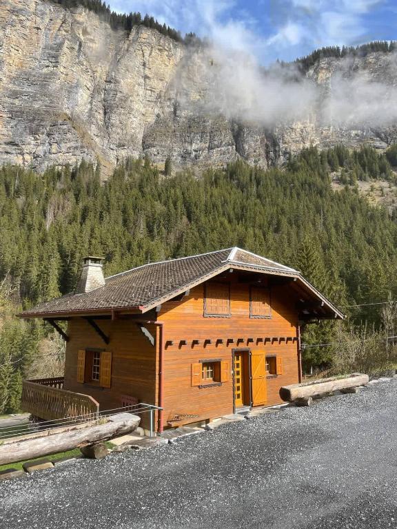 Cosy Alpine Chalet Near MorzineAvoriaz Sleeps 6 - 1