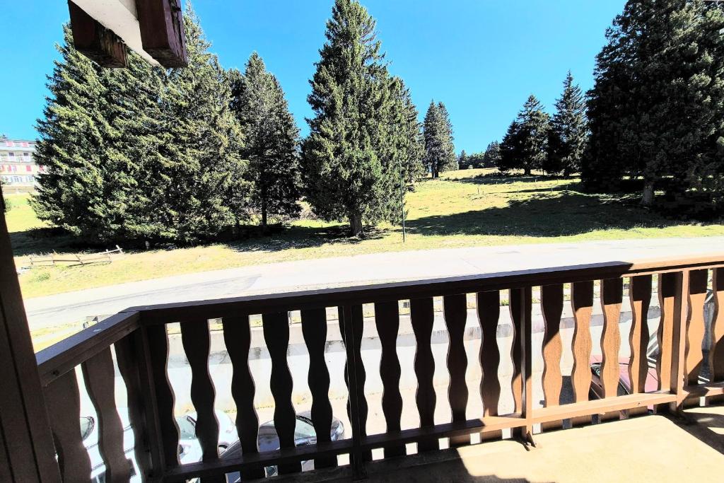 Appartement 5 personnes - pied des piste LE REVARD - 2