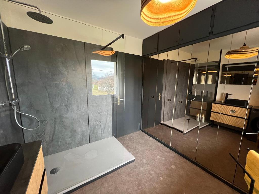 Appartement vue pistes proche lac - 2
