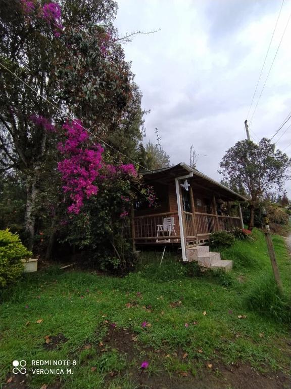 La Cabaña de Chia - 1