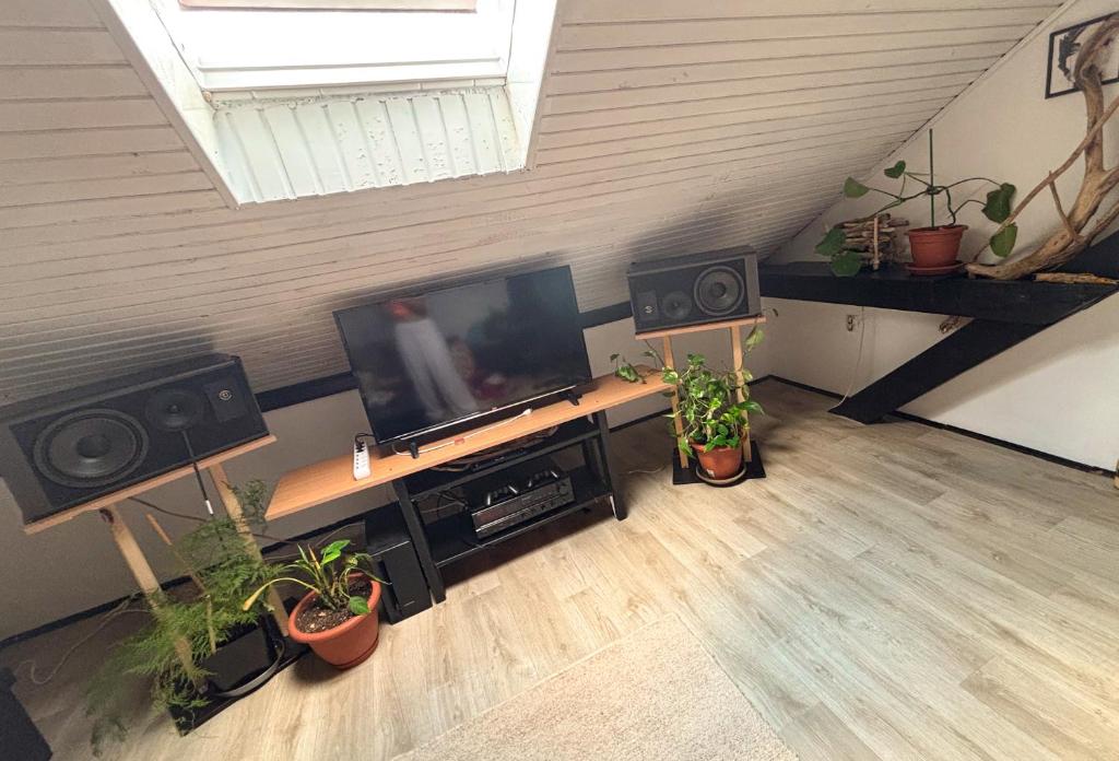 The Vibe Spot - 2