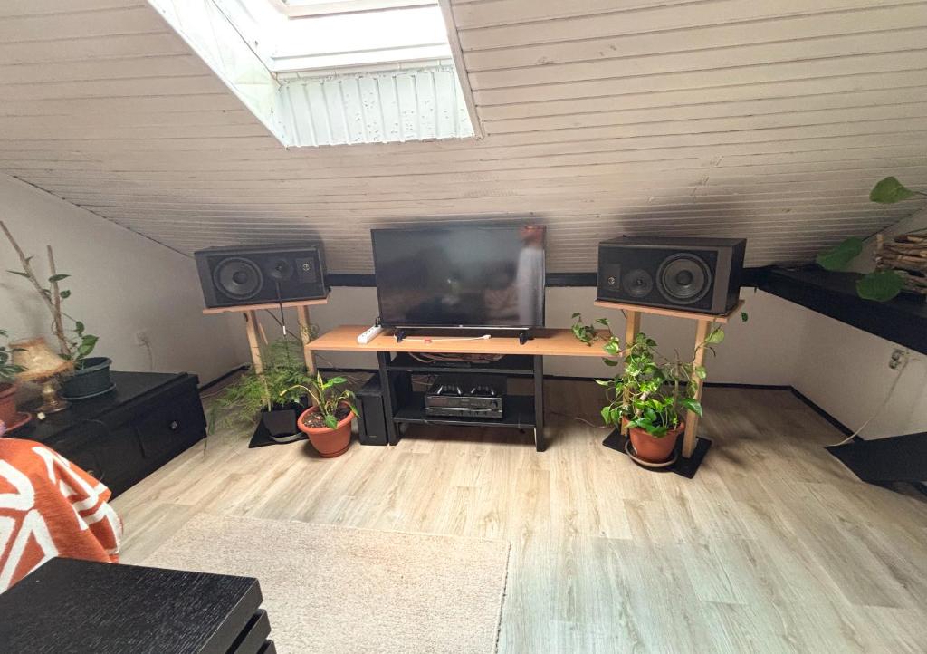 The Vibe Spot - 3