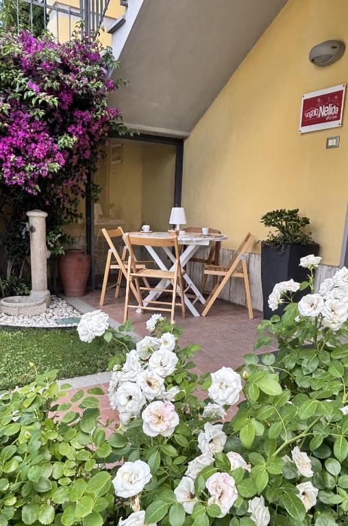 L'Angolo di Nelida - 5