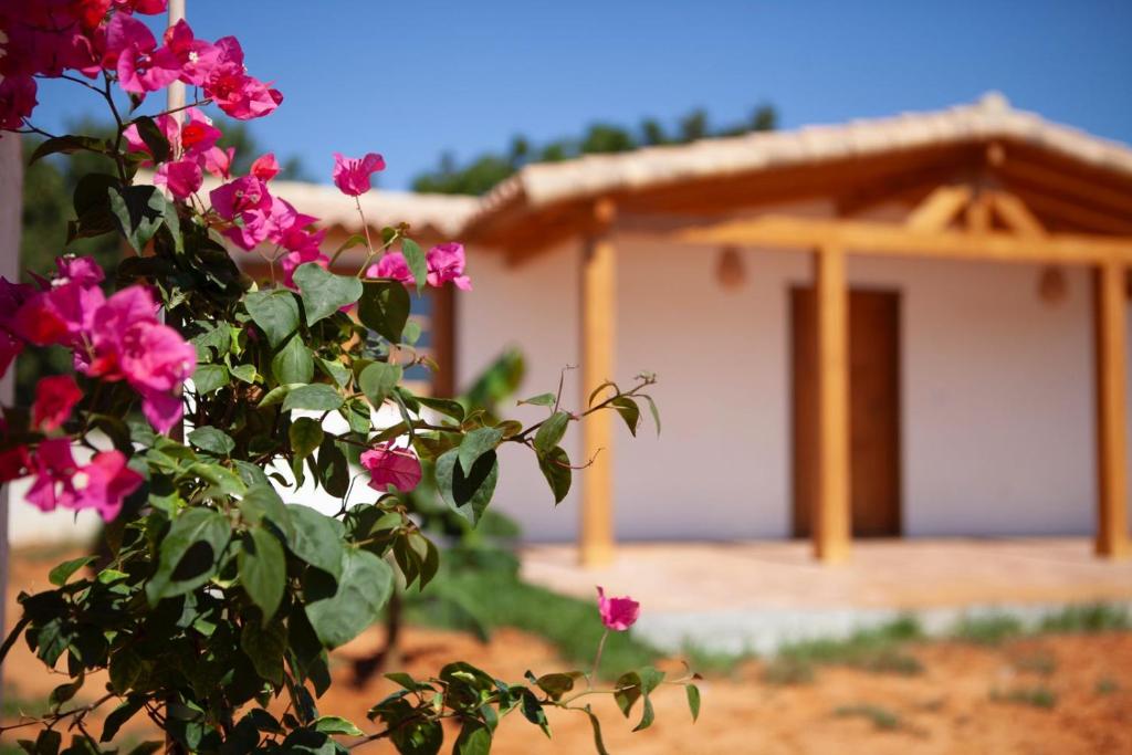 CALMA NIRVANA Casa con piscina y jardín en Chiclana - 4