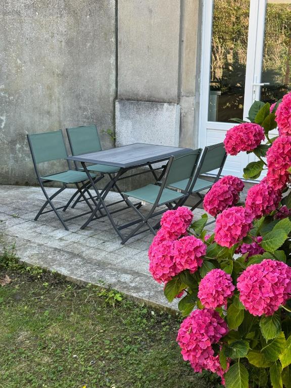 Le Jardin des Caps, proche mer et port - 5