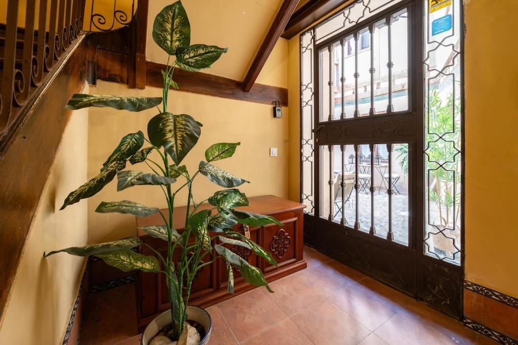 Patio in the Heart of Toledo , Pets , Family - 3