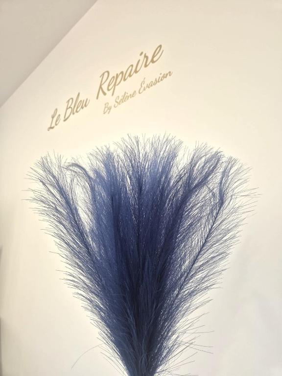Le Bleu Repaire, by Sélène Evasion - 2