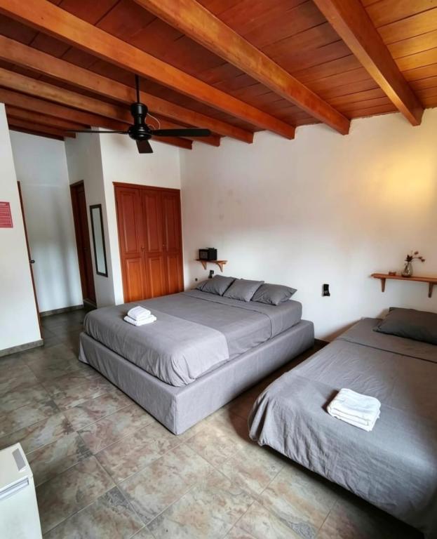 SUITE CONFORT 1 a 4 Personas - 5