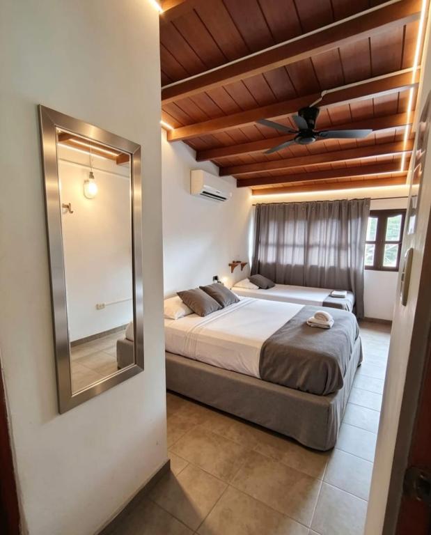 SUITE CONFORT 1 a 4 Personas - 3