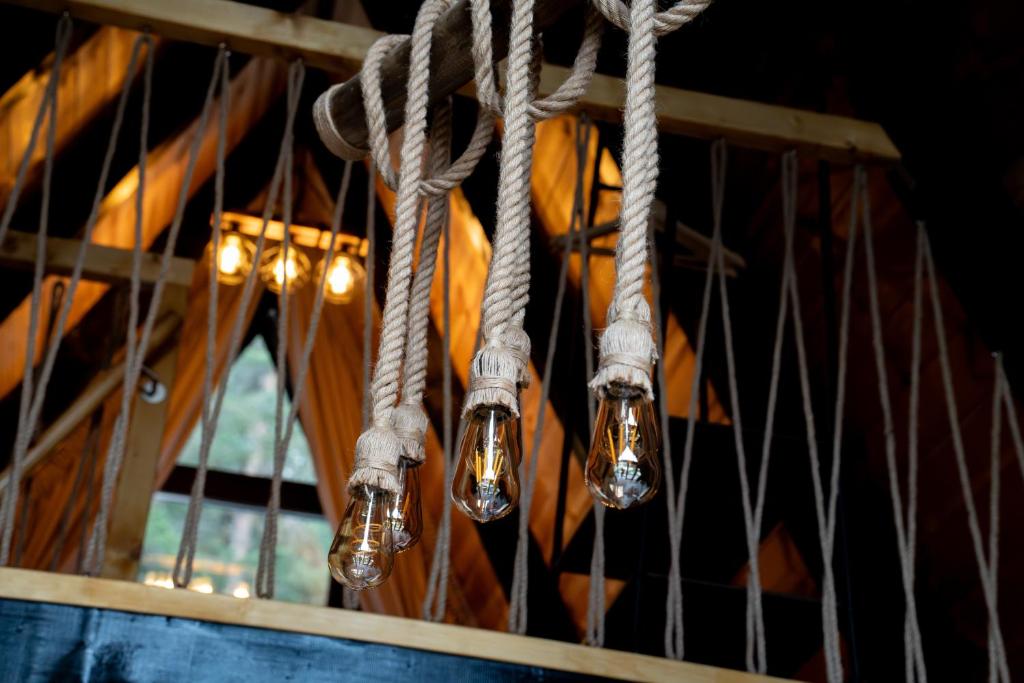 Durmitor forest lodge - 5